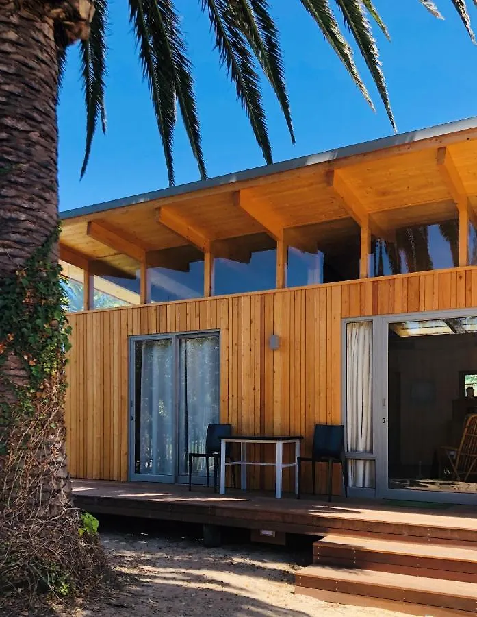 Palm And Pine Cottage Cape Town Apartment